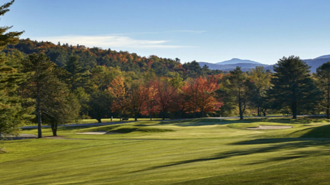 Photo of Others in Stowe Area