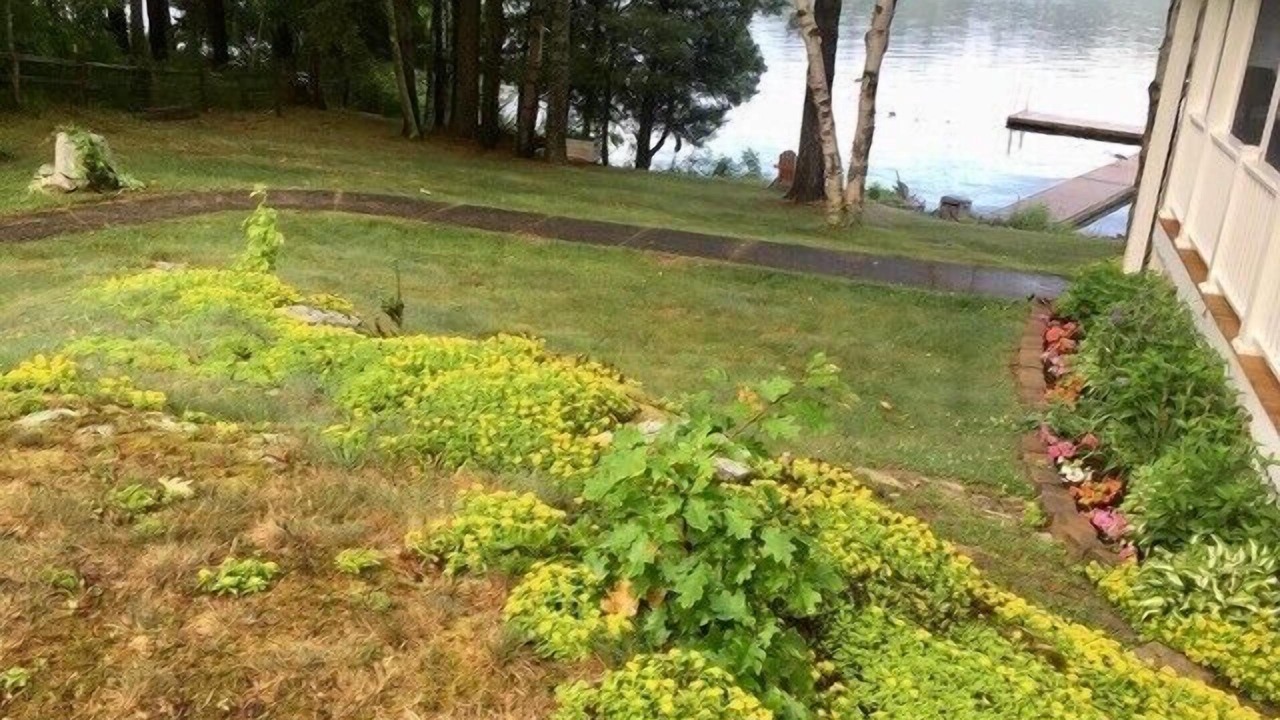 Photo of Outdoor in Wellesley Island