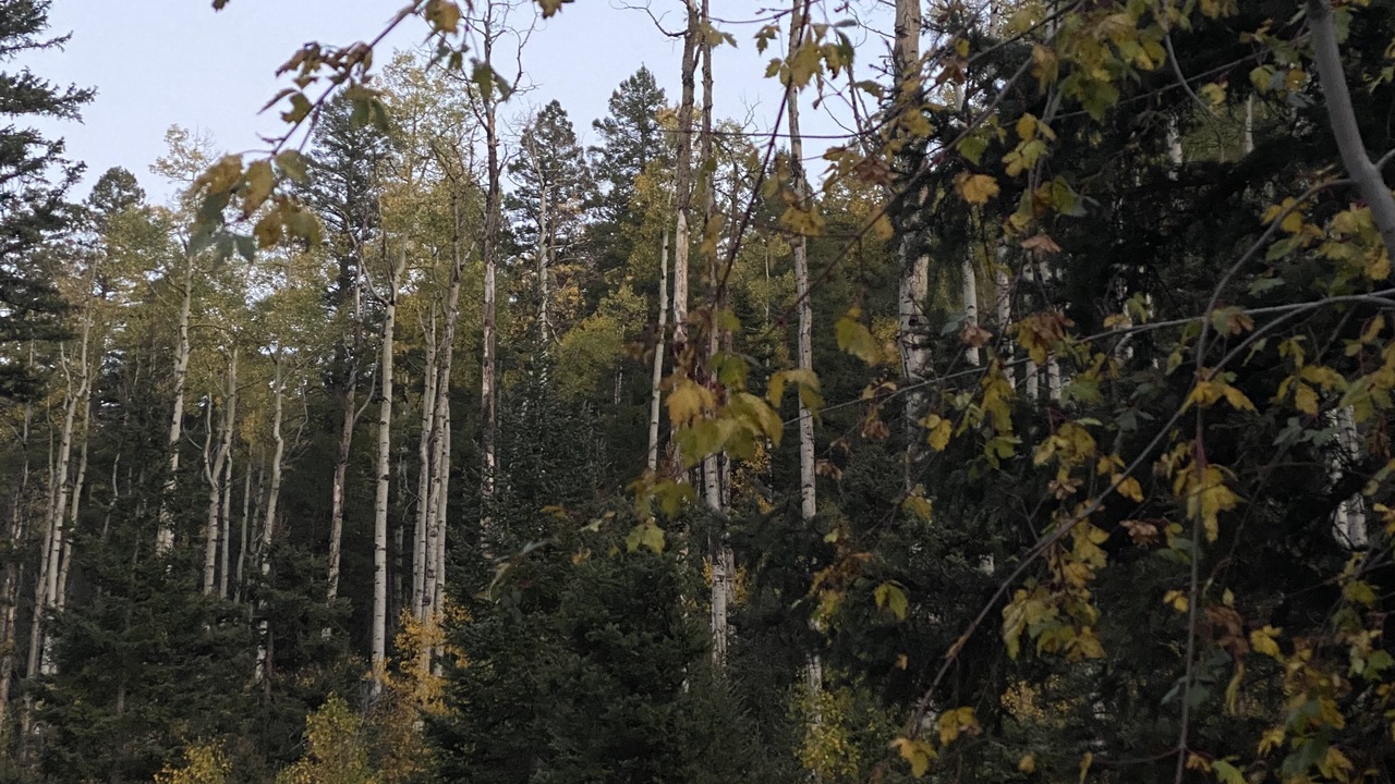 Photo of Outdoor in Taos Ski Valley