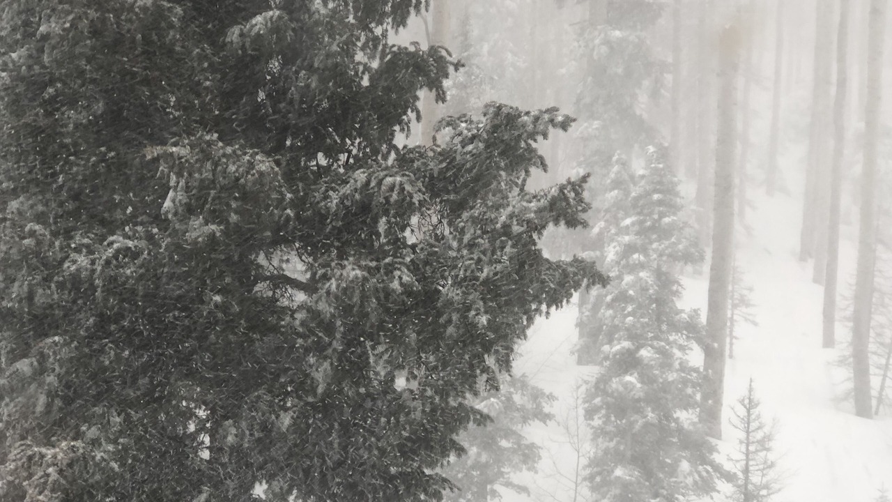 Photo of Others in Taos Ski Valley