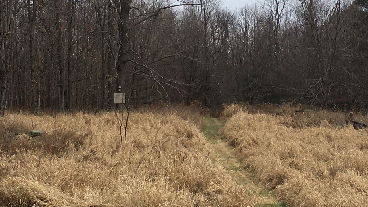 Photo of Others in North River