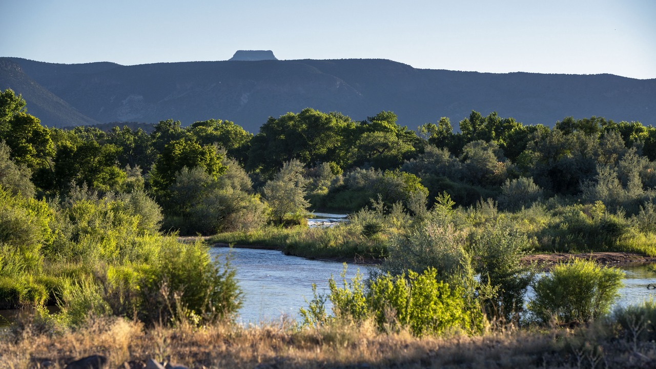 Photo of Others in Abiquiu