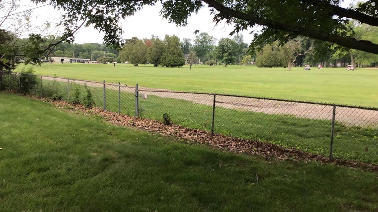 Photo of Outdoor in Toledo