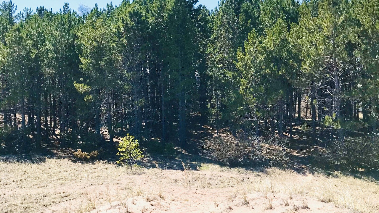 Photo of Others in Park Point
