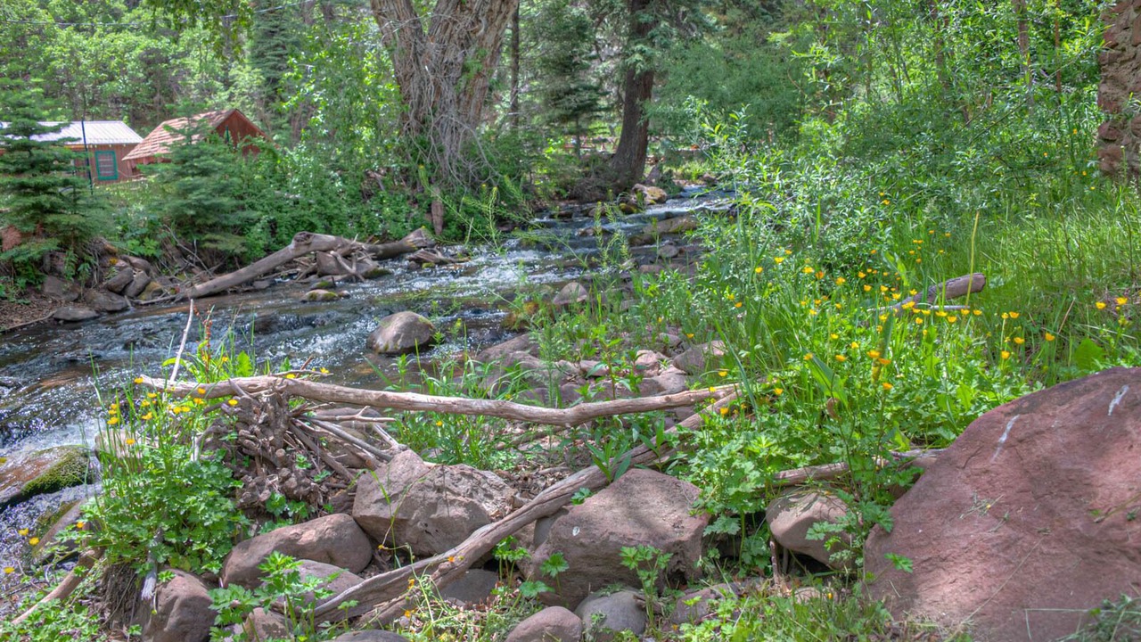 Photo of Outdoor in La Veta