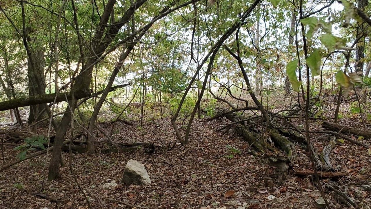 Photo of Outdoor in Gamaliel