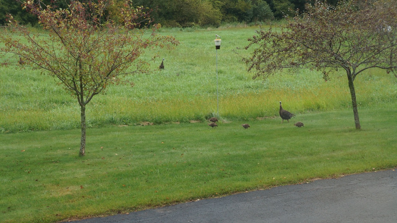 Photo of Others in Viroqua