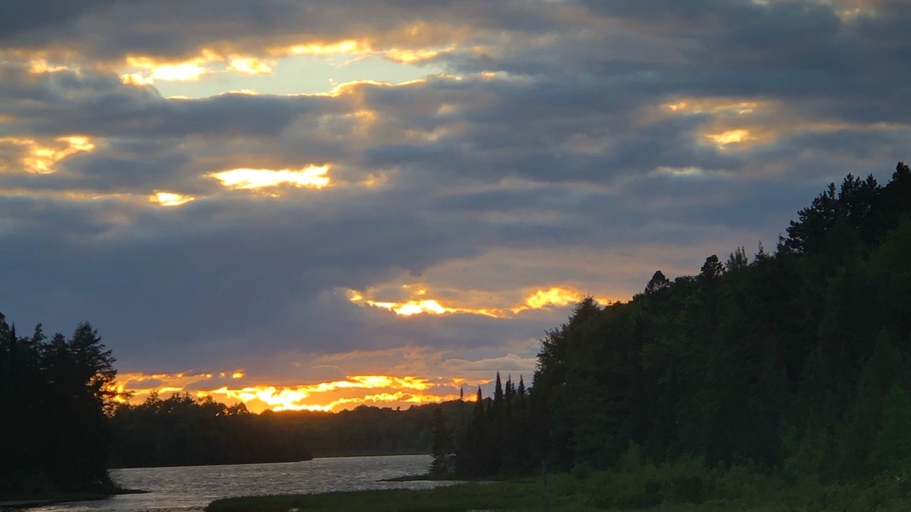 Photo of Others in Land O Lakes
