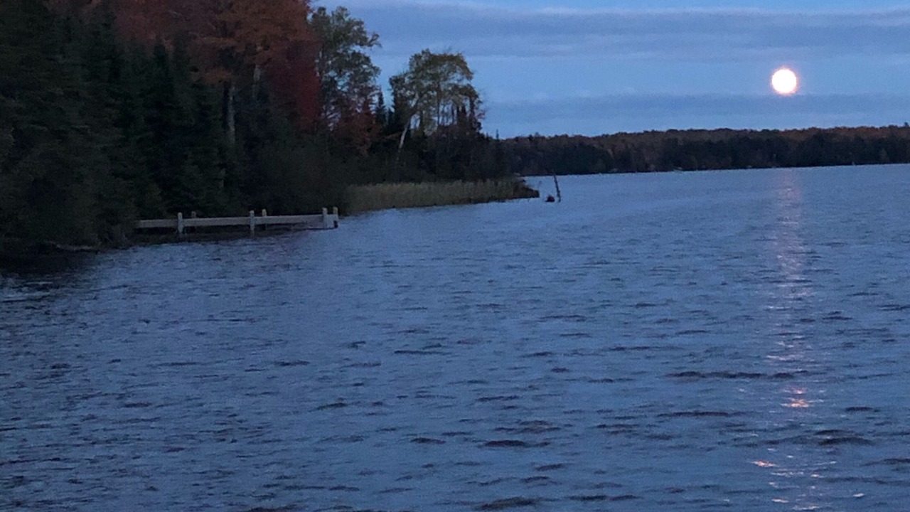 Photo of Others in Land O Lakes