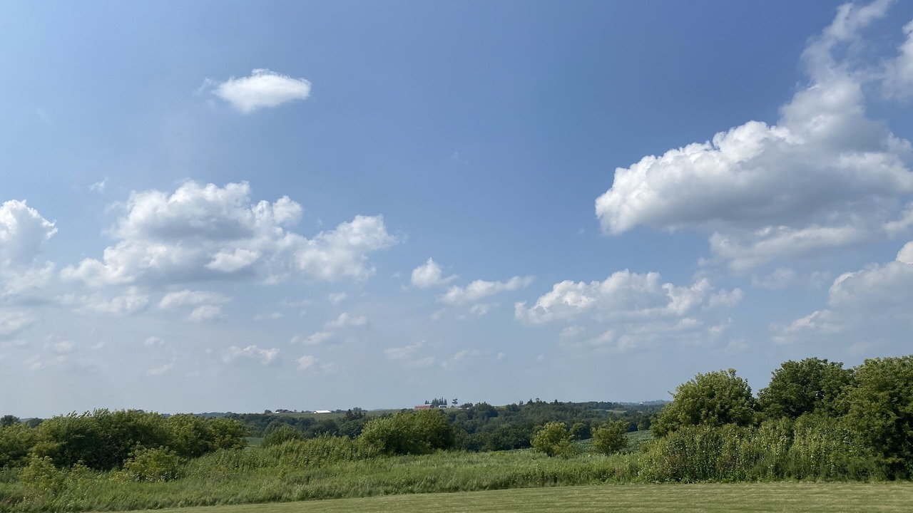 Photo of Others in Viroqua