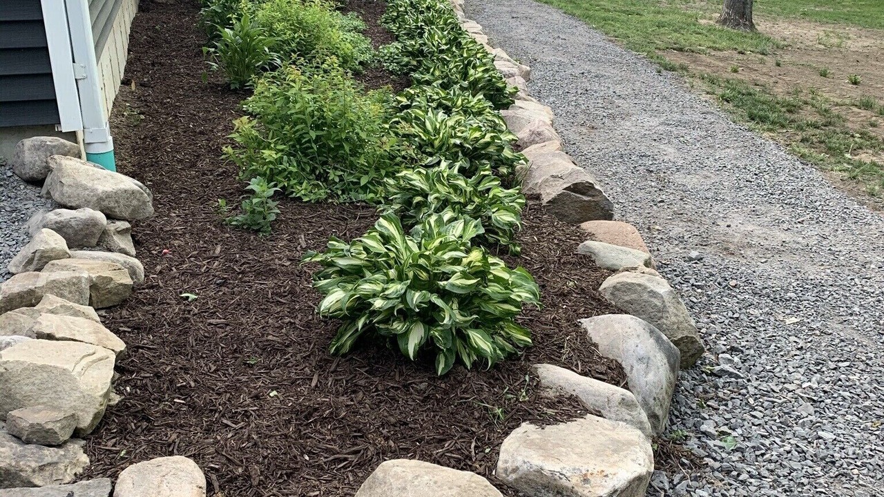 Photo of Outdoor in Town of Dickinson Center