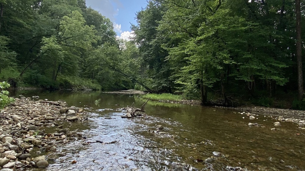 Photo of Outdoor in Mount Ida