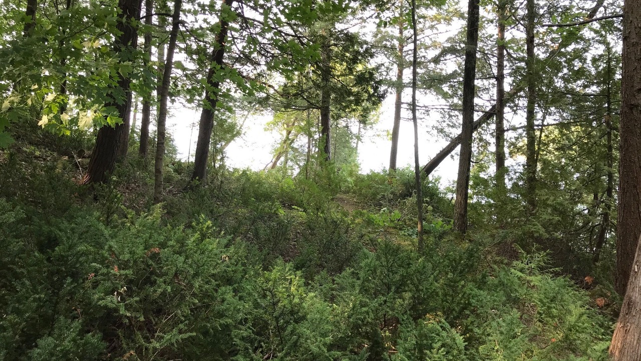 Photo of Outdoor in Charlotte