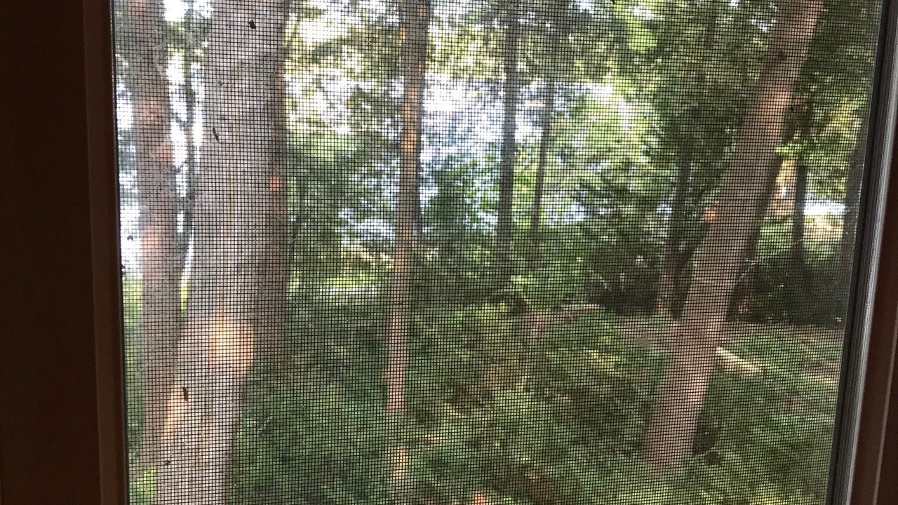 Photo of Others in Charlotte
