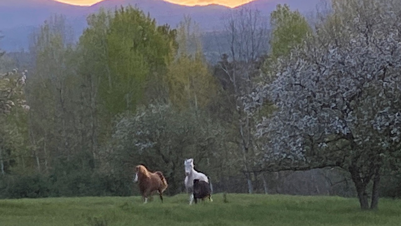 Photo of Others in Westport
