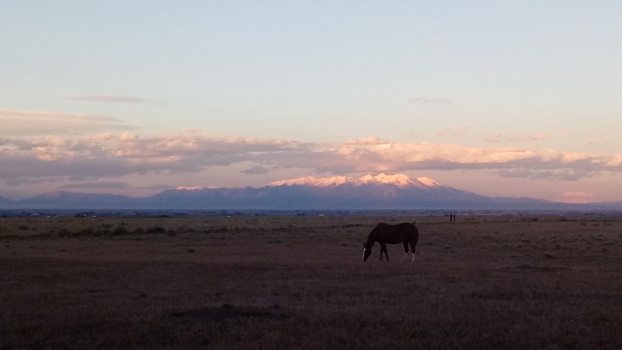 Photo of Others in Capulin