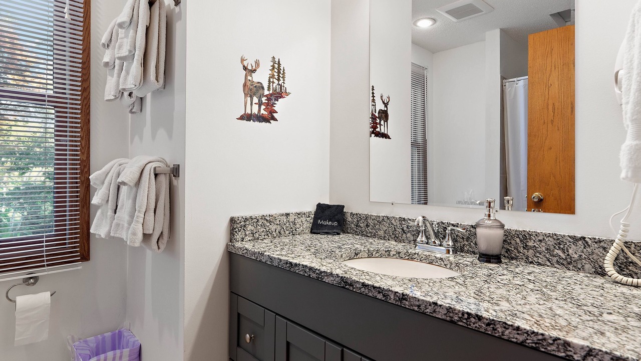 Photo of Bathroom in Pine River