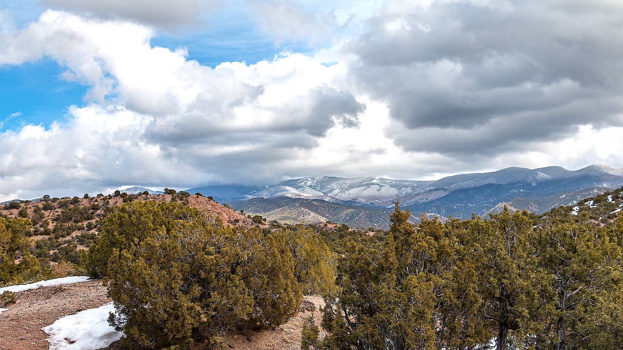 Photo of Others in Tesuque Hills