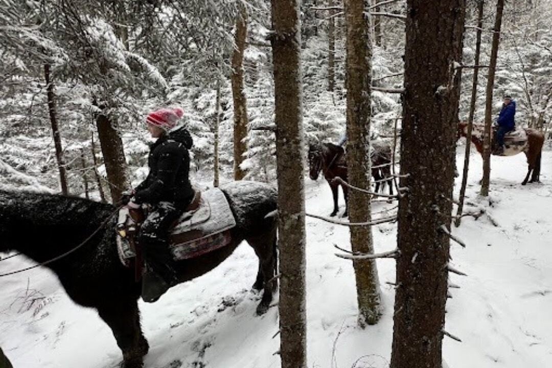 Photo of Others in Snowshoe