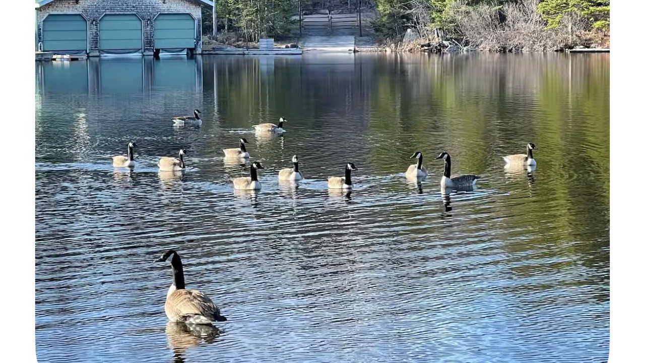 Photo of Others in Hopkinton