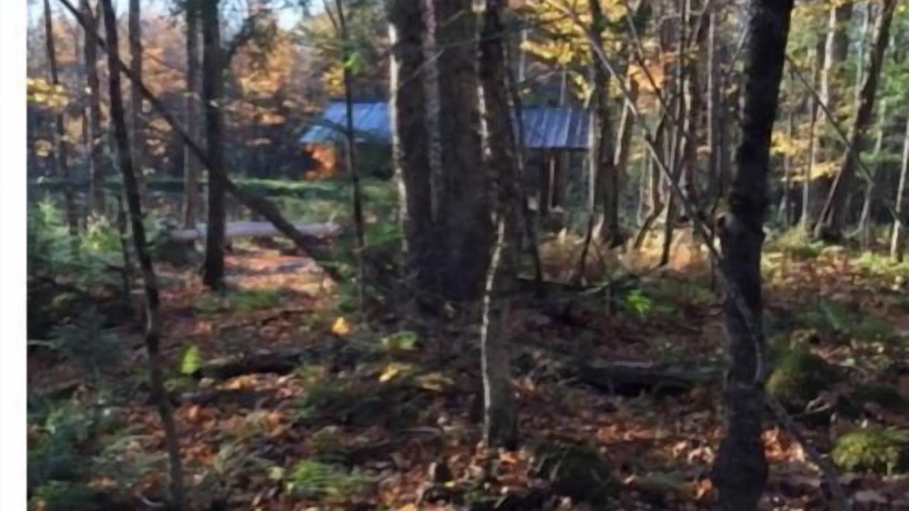 Photo of Outdoor in Orleans