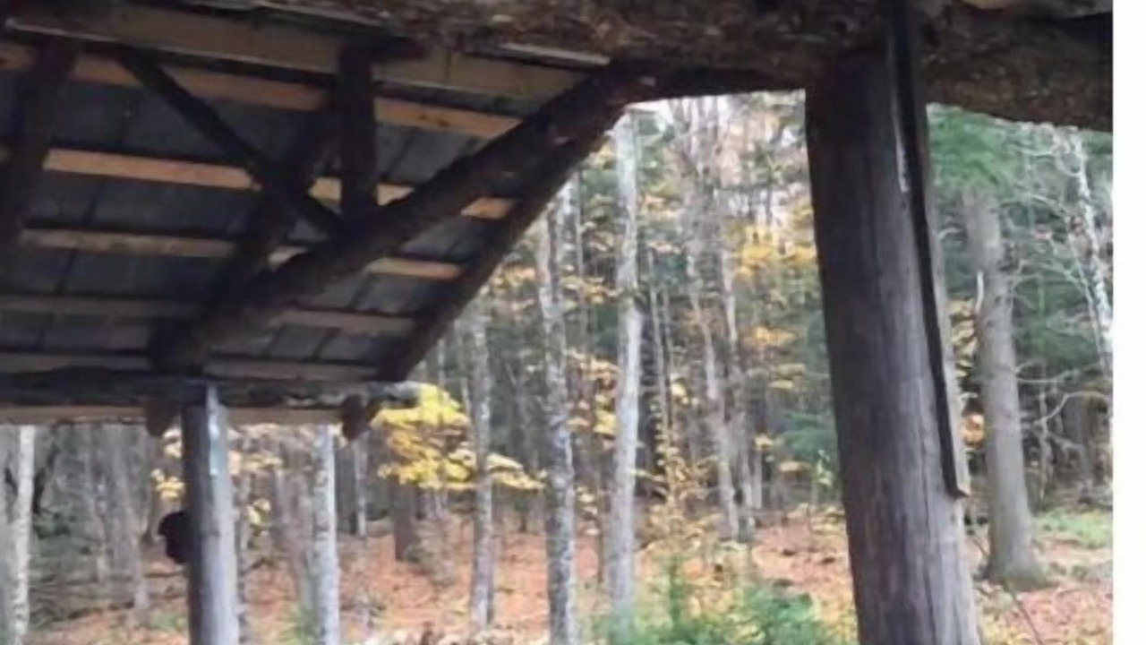 Photo of Outdoor in Orleans