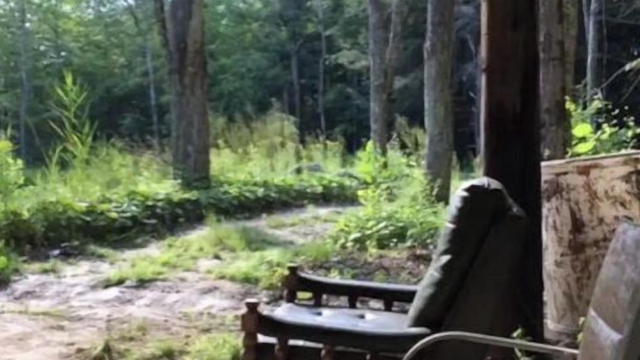 Photo of Outdoor in Orleans