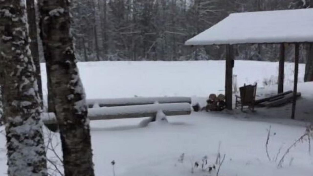 Photo of Outdoor in Orleans