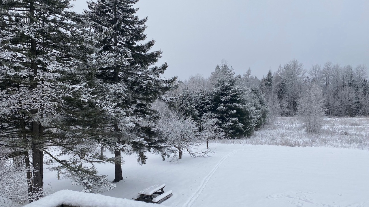 Photo of Outdoor in Morrisville