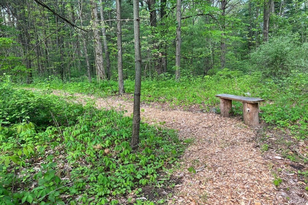 Photo of Outdoor in Ypsilanti