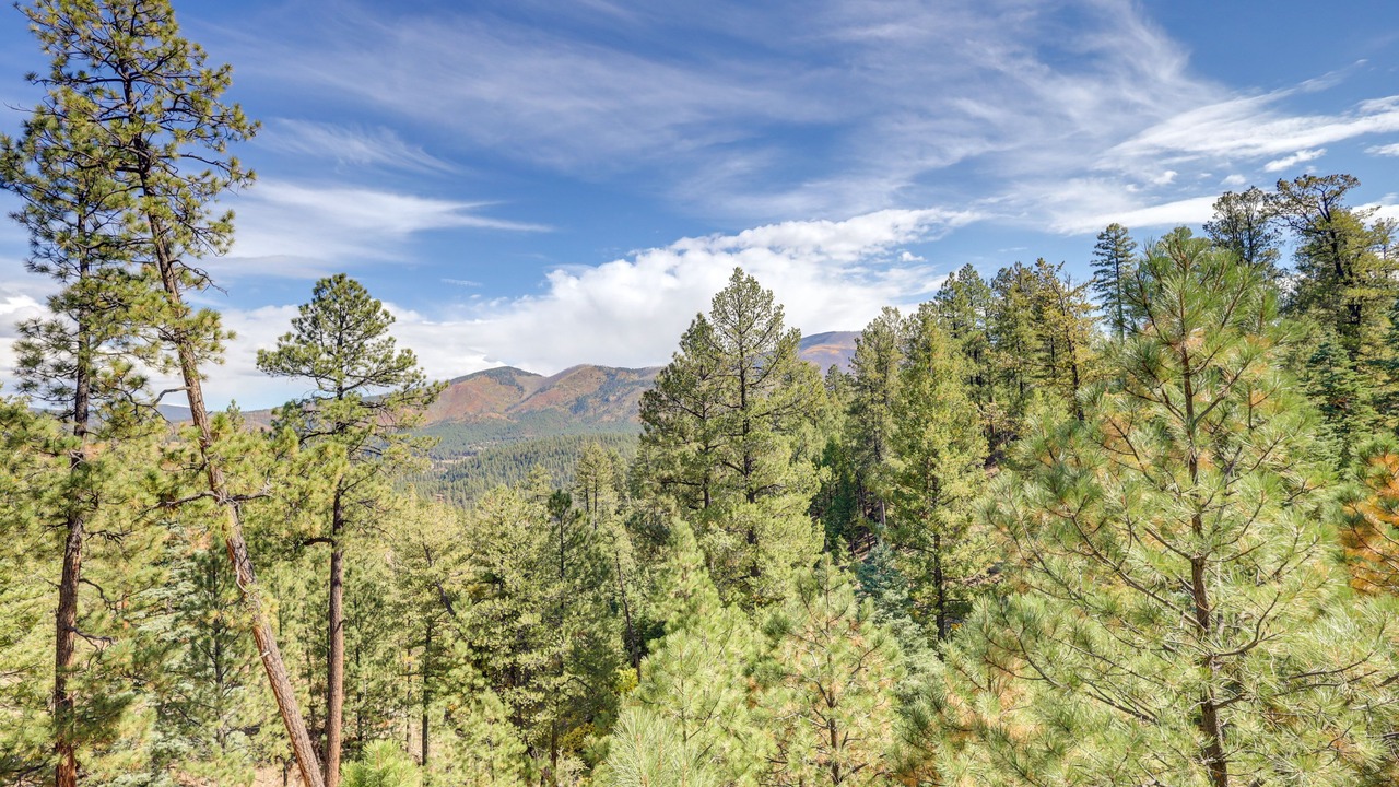 Photo of Others in Jemez Springs