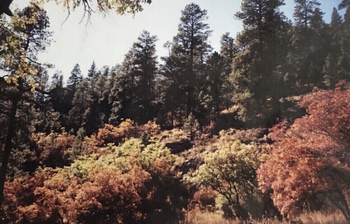 Photo of Outdoor in Tererro