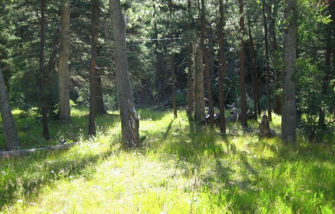 Photo of Outdoor in Tererro