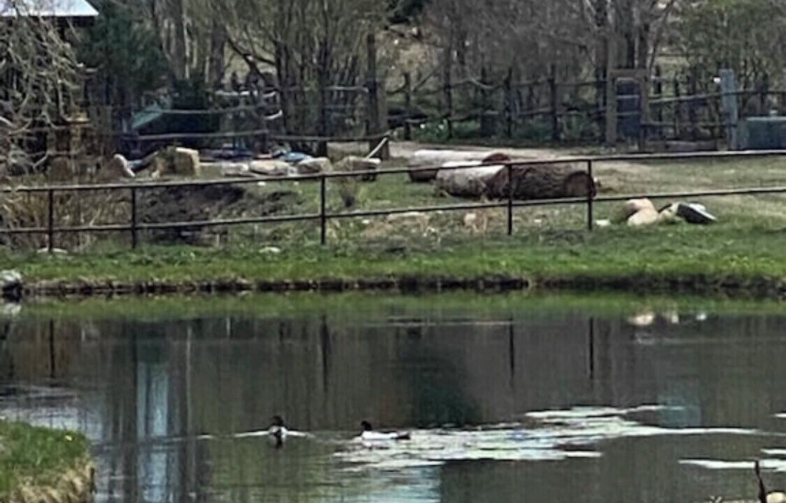 Photo of Outdoor in Tererro