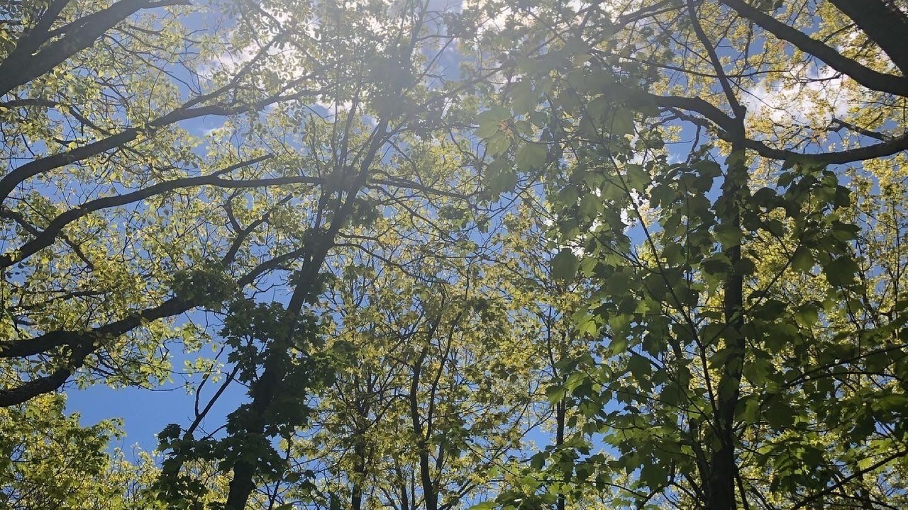 Photo of Outdoor in Gap Mills