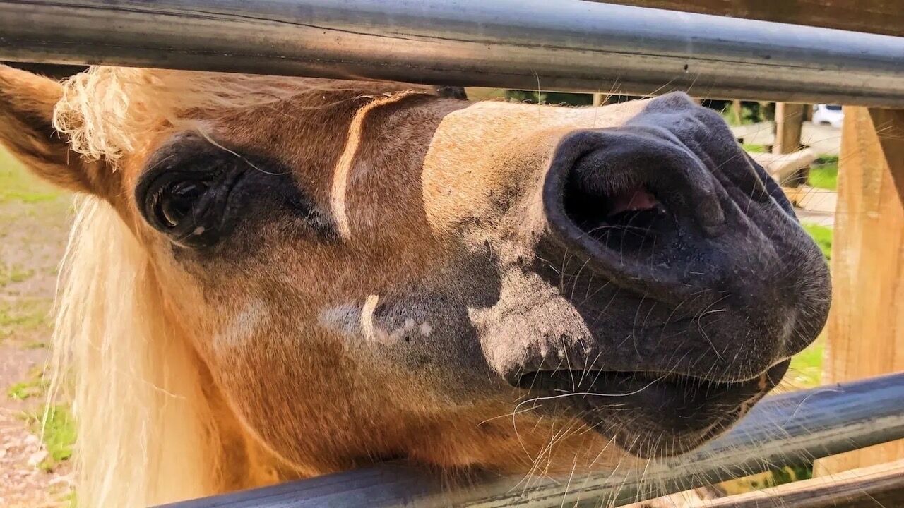 Photo of Others in Lackawaxen