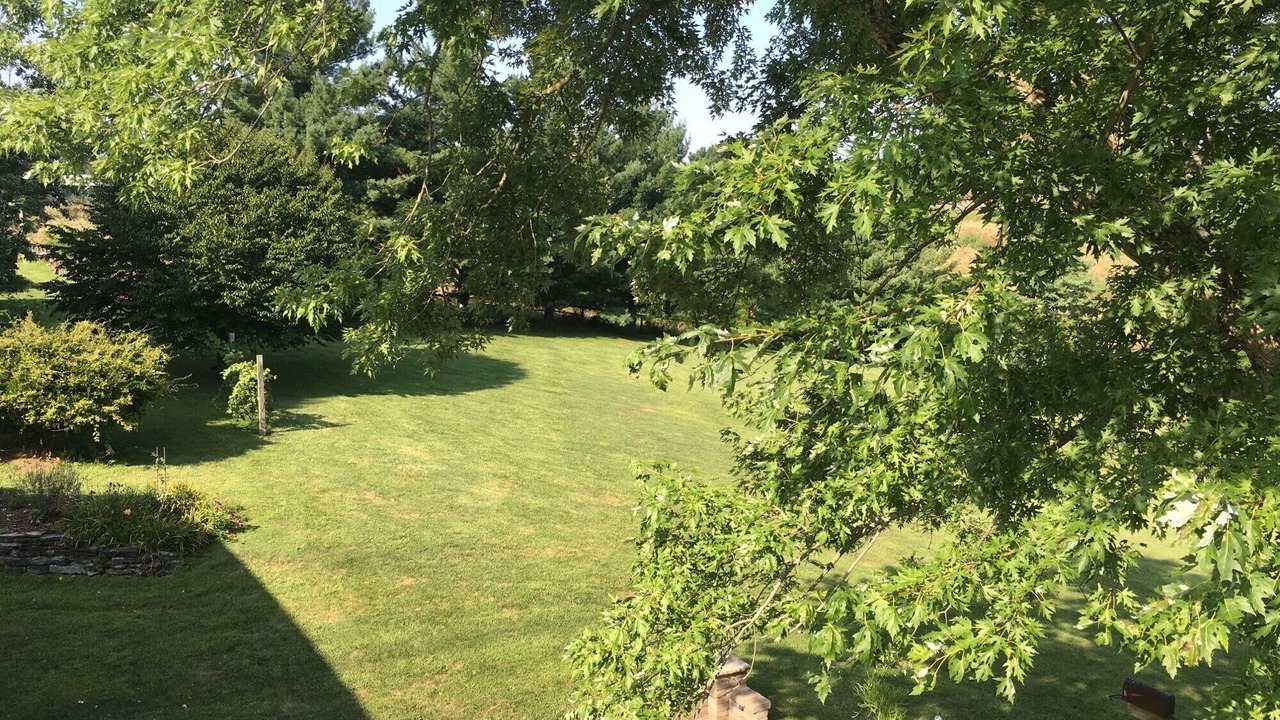 Photo of Outdoor in Union
