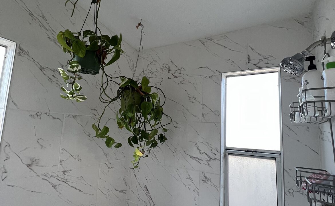 Photo of Bathroom in Moriarty