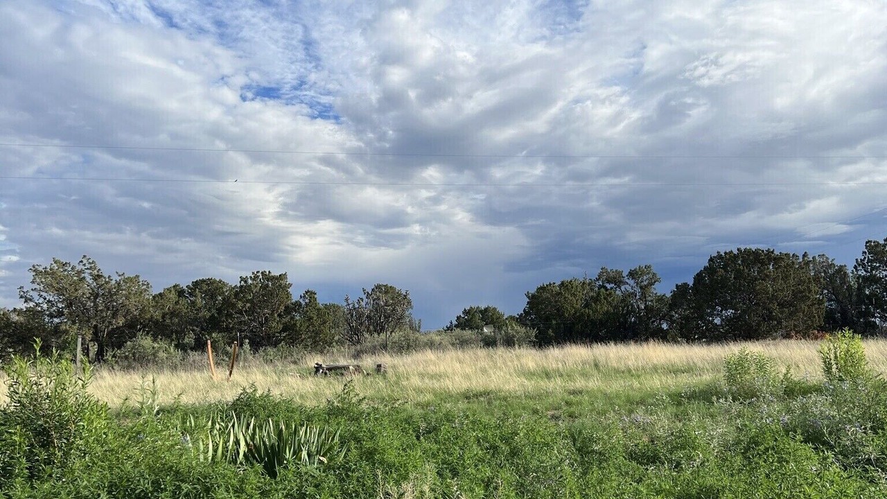 Photo of Outdoor in Moriarty