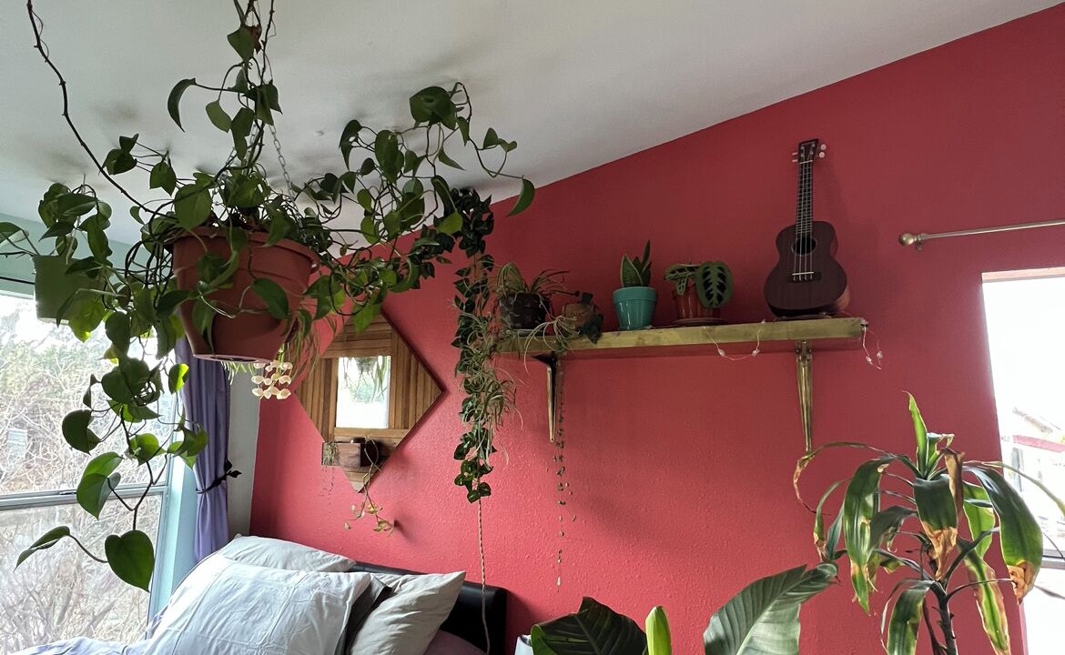 Photo of Bedroom in Moriarty