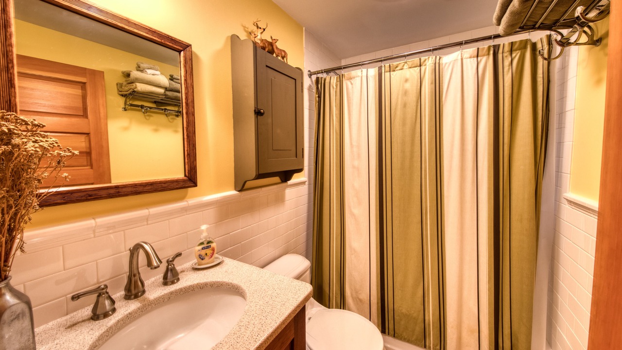 Photo of Bathroom in Saranac Lake