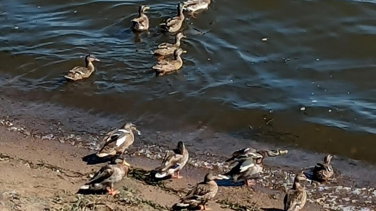 Photo of Others in Lake City