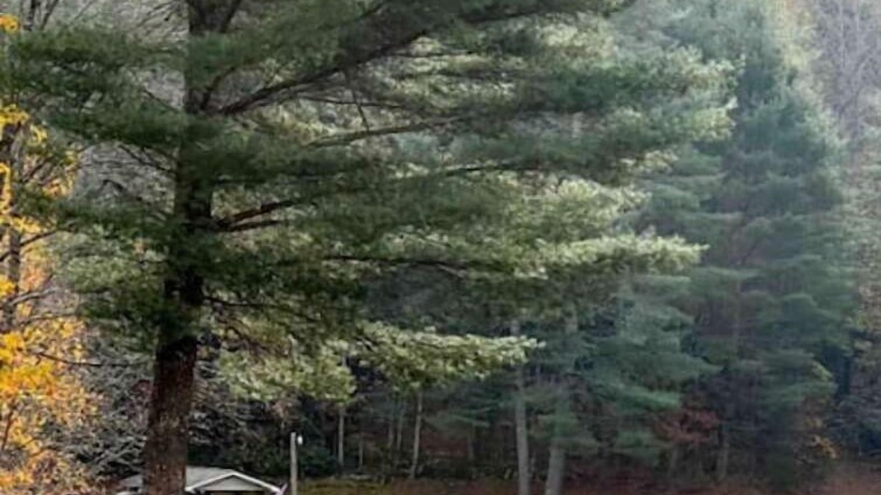 Photo of Outdoor in Floyd