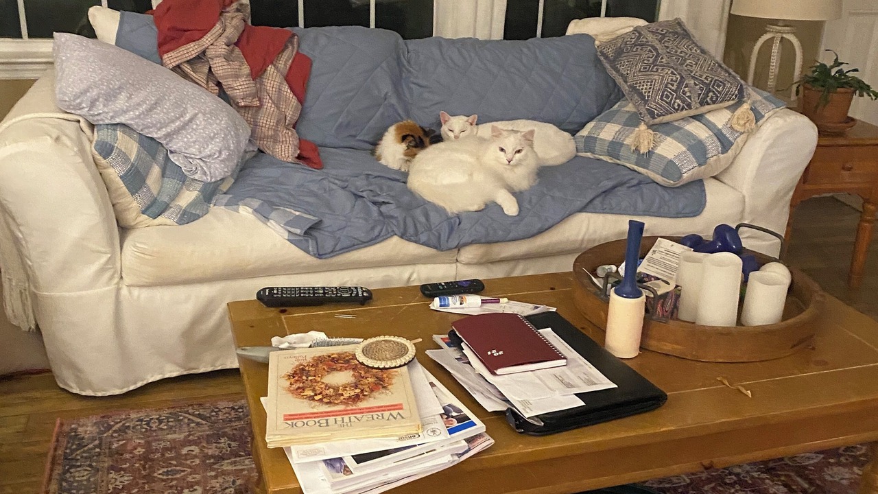 Photo of Livingroom in Johnsonville