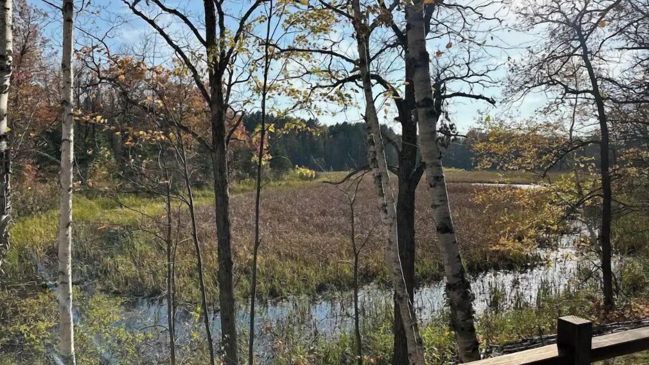 Photo of Outdoor in Cohasset