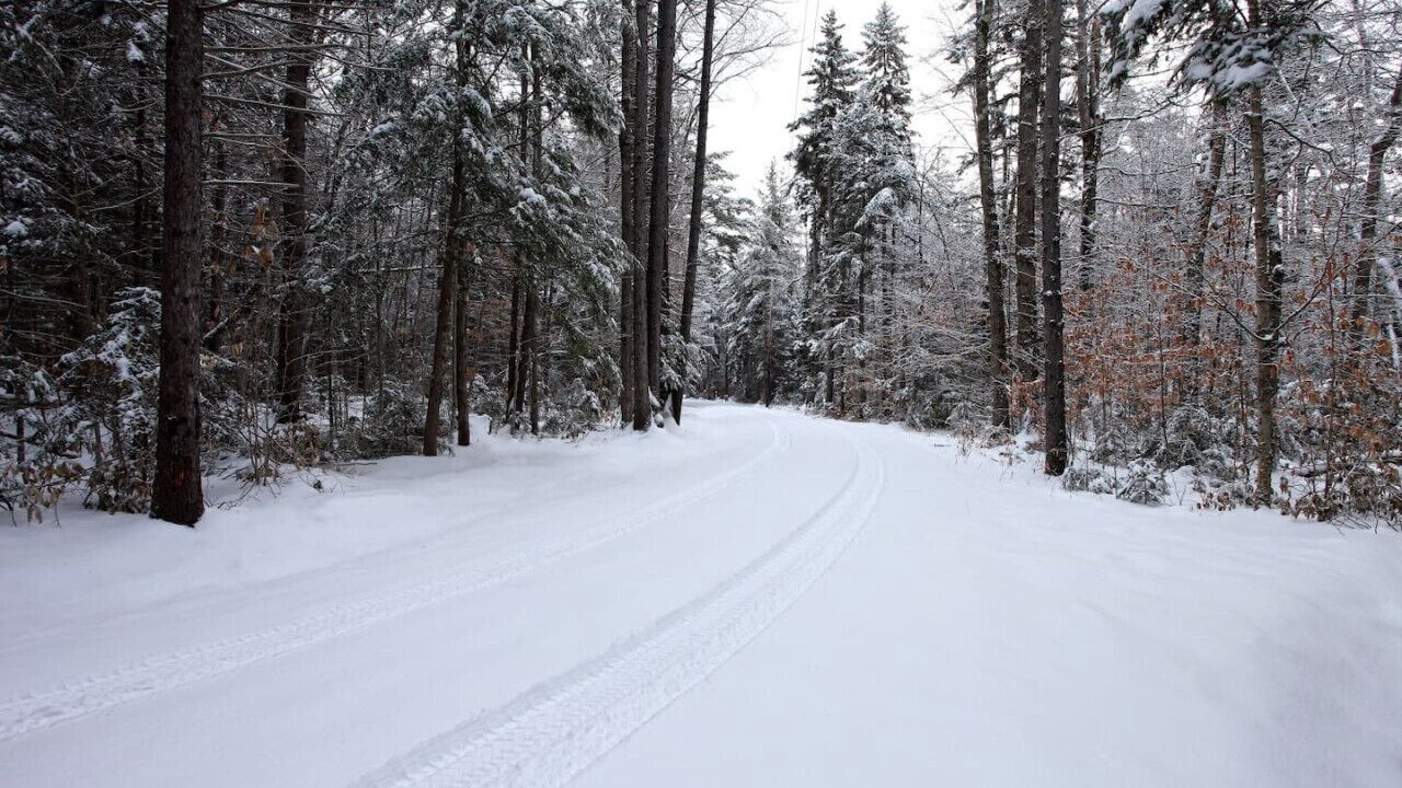 Photo of Others in Stratton