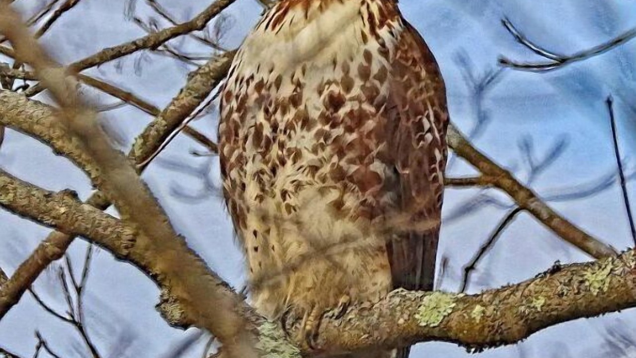 Photo of Others in Bernardston