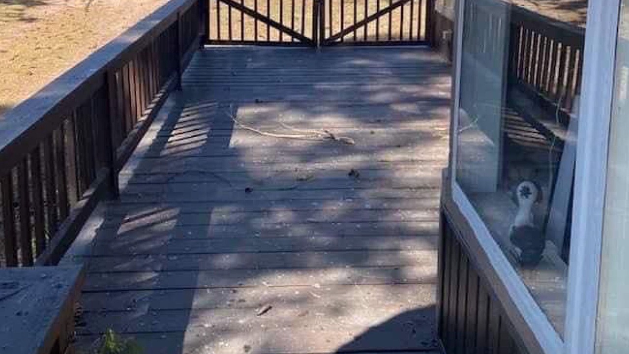 Photo of Patio Balcony in Bernhards Bay