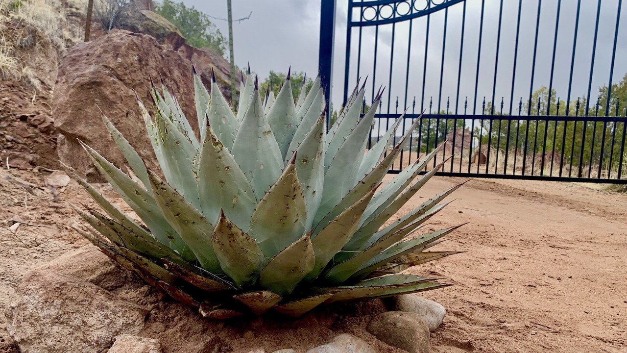 Photo of Outdoor in Cerrillos