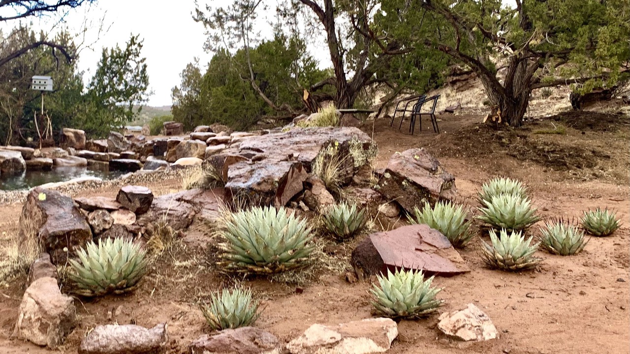Photo of Outdoor in Cerrillos